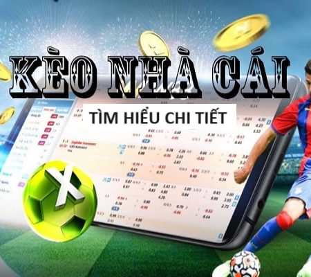 SANCLUB-Trải nghiệm cược xanh chín tuyệt vời!