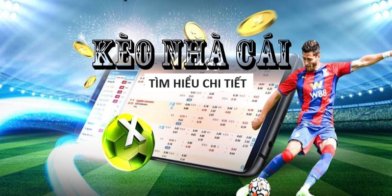 SANCLUB-Trải nghiệm cược xanh chín tuyệt vời!